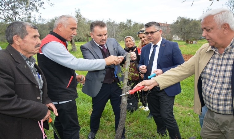 Edremit'te Ahlat Aşılaması yapıldı