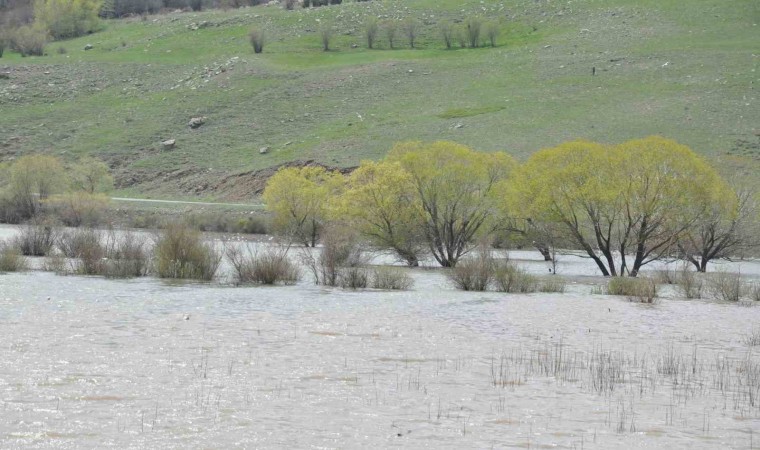 Kars’ta ağaçlar su altında kaldı