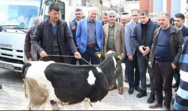 Manisa Kulalı hayvan üreticilerine önemli destek