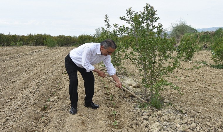 Vekil adayı eline çapayı alıp indiği tarladan üreticiye söz verdi