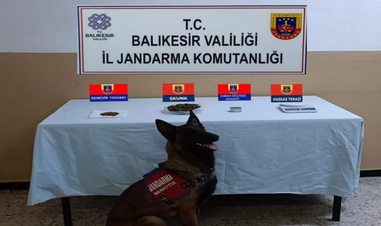 Balıkesir'de jandarmadan uyuşturucu operasyonu