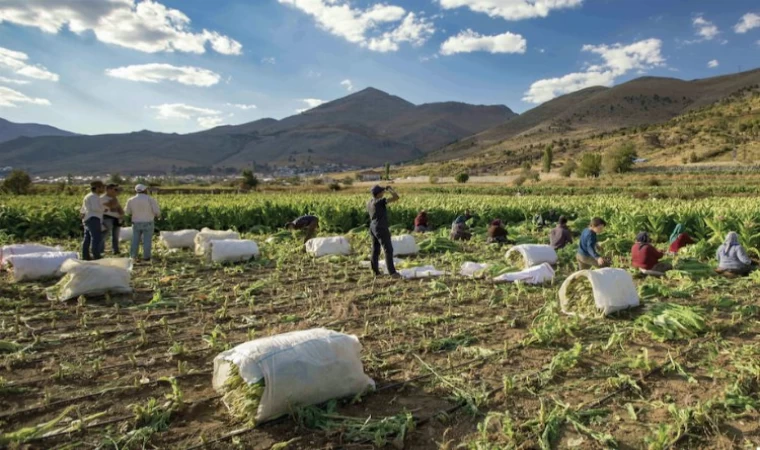 Migros, Meryem Kadın Kooperatifi İş Birliği