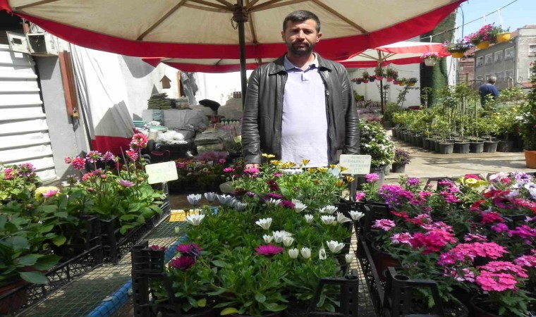 Havalar ısındı, fideler tezgahlardaki yerini almaya başladı