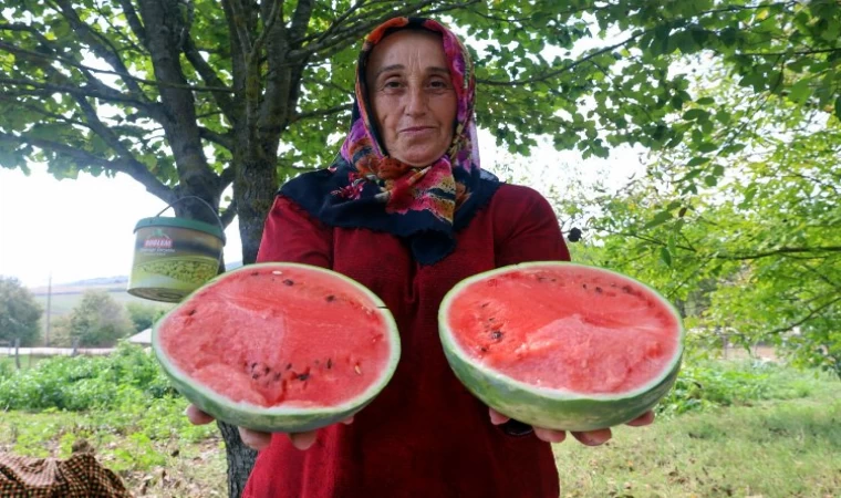 Üreticilere destekler sürüyor