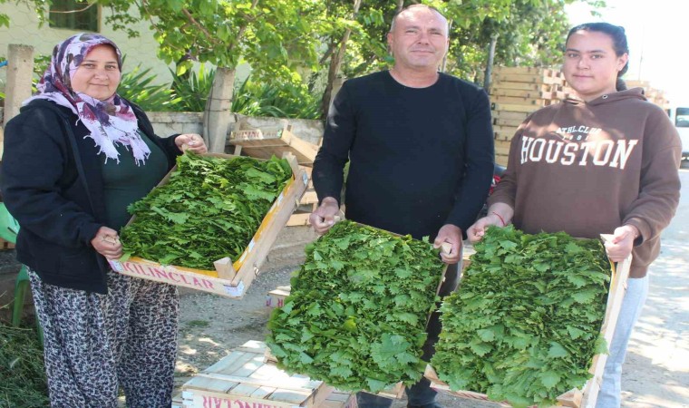 Üzümden önce yaprağı gelir kapısı oldu