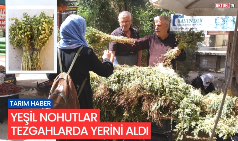 Yeşil nohut tezgahlarda yerini aldı