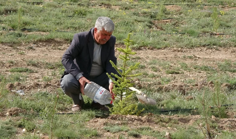 Abdullah Karataş binlerce fidanı toprakla buluşturuyor