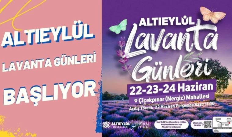 Altıeylül Lavanta Günleri Başlıyor