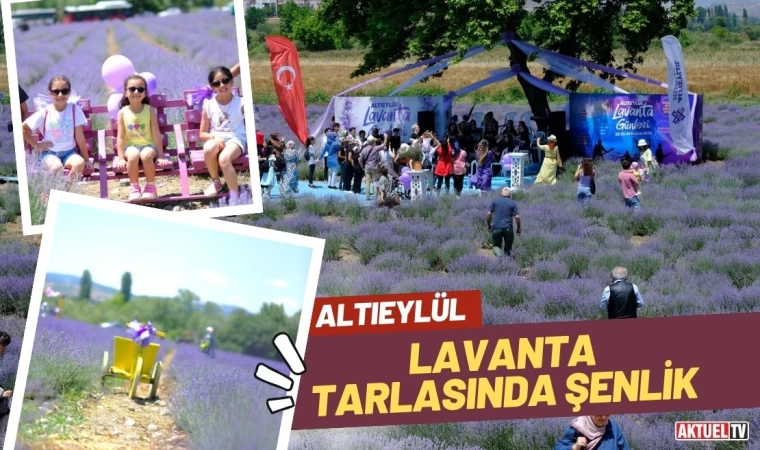 Altıeylül Lavanta Tarlasında Şenlik