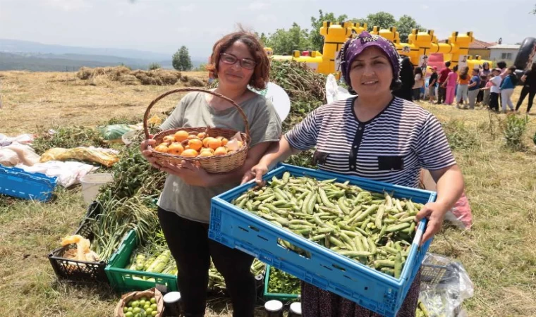 Araka hasat şenliği