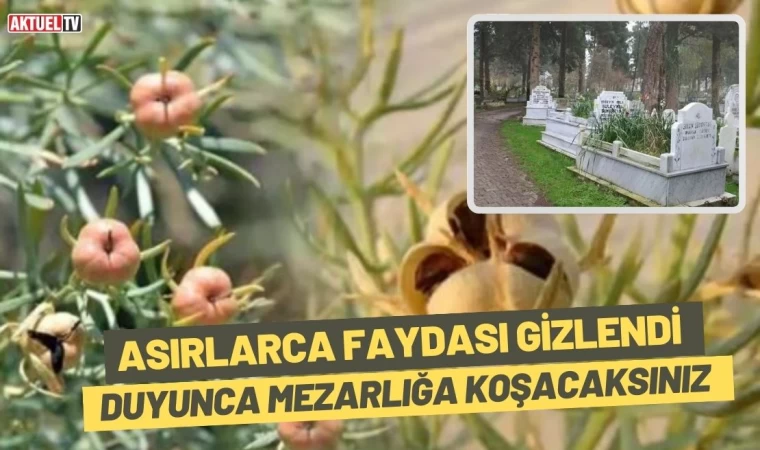 Asırlarca Faydası Gizlendi, Duyunca Mezarlığa Koşacaksınız