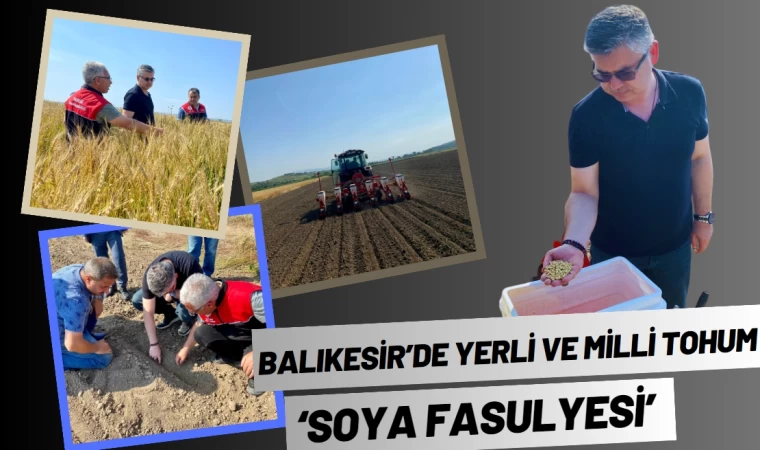 Balıkesir’de Yerli ve Milli Tohum ‘Soya Fasulyesi’