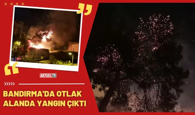 Bandırma’da otluk alanda yangın çıktı