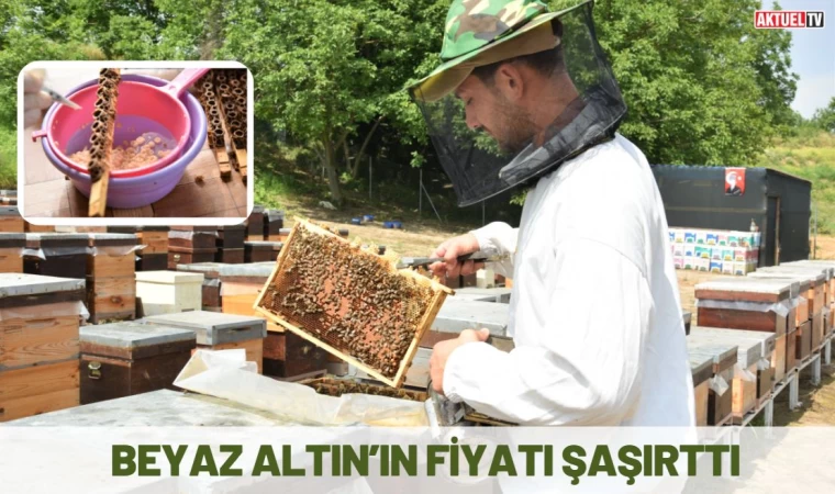 Arı Sütünün Fiyatı Şaşırtıyor