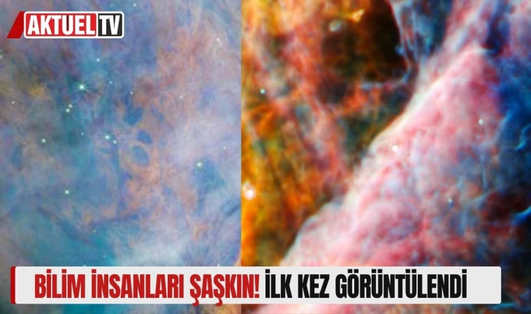 Bilim insanları şaşkın! İlk kez görüntülendi