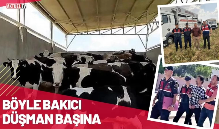 Böyle Bakıcı Düşman Başına