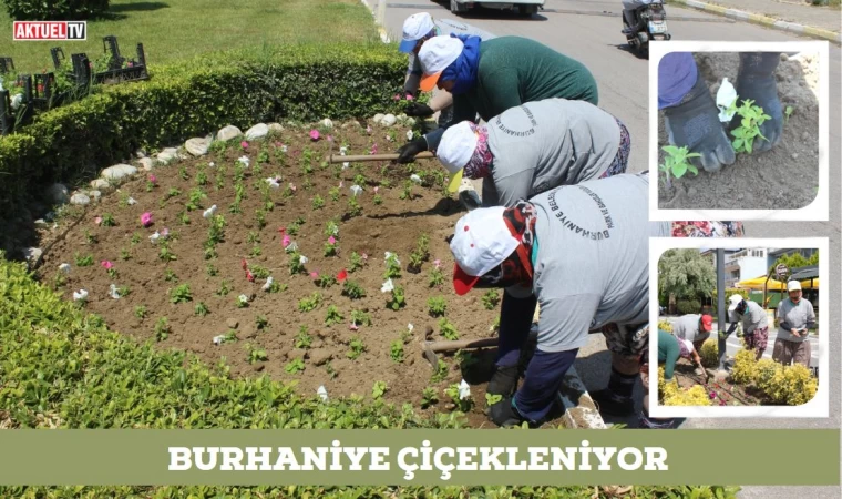 Burhaniye çiçekleniyor