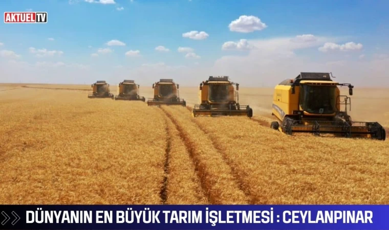 Dünyanın en büyük tarım işletmesi : Ceylanpınar