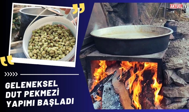 Geleneksel dut pekmezi yapımı başladı