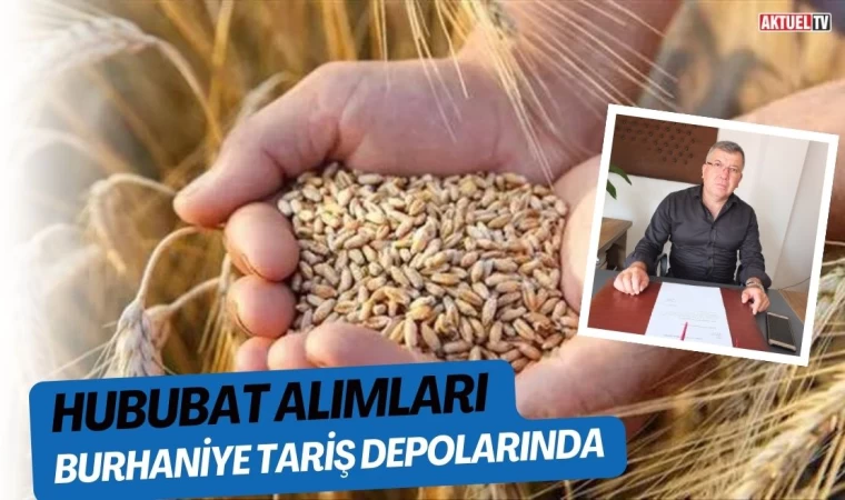 Hububat Alımları Burhaniye TARİŞ depolarında