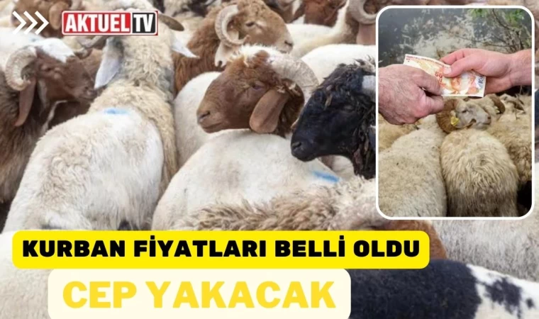 Kurbanlık fiyatları belli oldu. Cep yakacak!