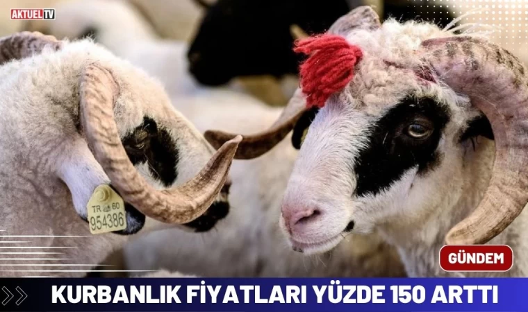 Kurbanlık Fiyatları Yüzde 150 Arttı