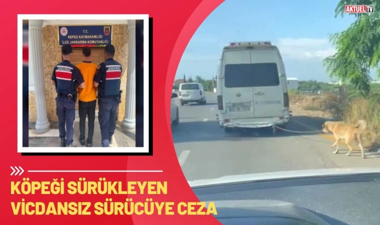 Minibüsün arkasına bağlanan köpeği zorla götüren sürücüye adli işlem