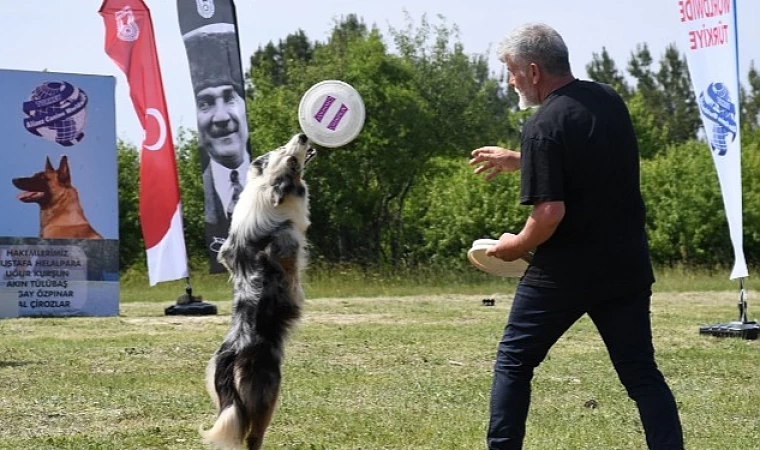 Patiler Kent Ormanı’nda yarıştı!