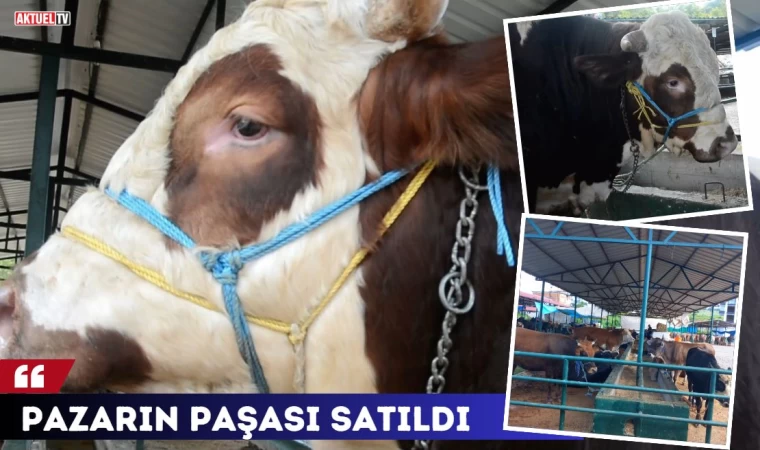 Pazarın Paşası Satıldı