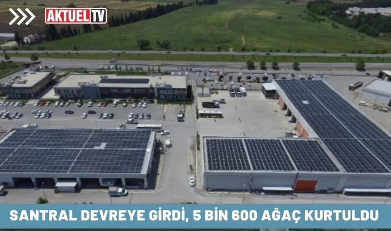 Santral devreye girdi, 5 bin 600 ağaç kurtuldu