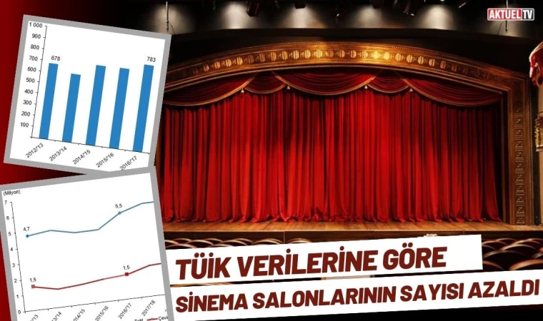 Sinema Salonlarının Sayısı Azaldı