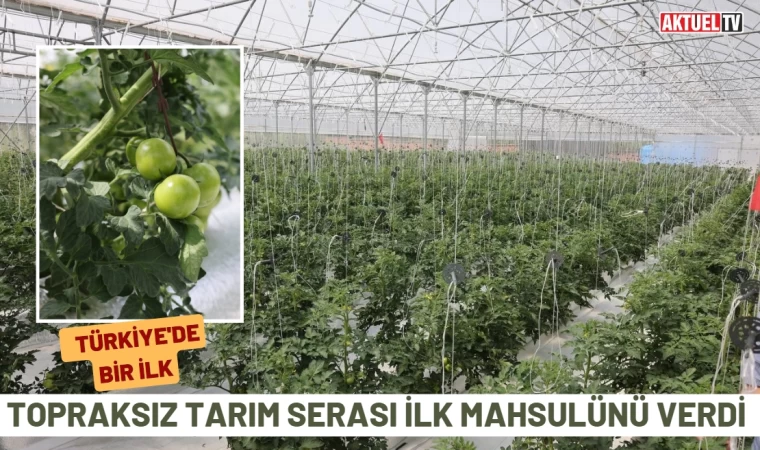 Topraksız Tarım Serası İlk Mahsulünü Verdi