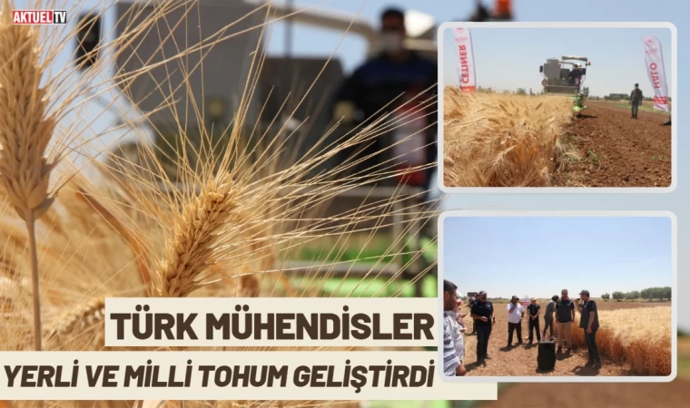 Türk Mühendisler Yerli ve Milli Tohum Geliştirdi