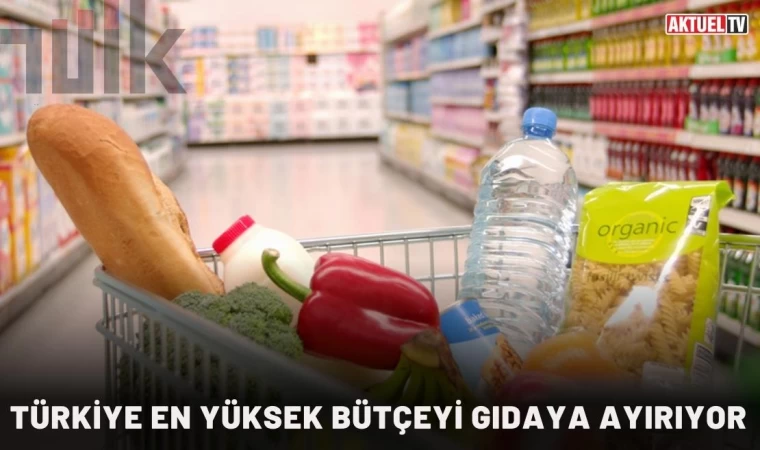 Türkiye en yüksek bütçeyi gıdaya ayırıyor