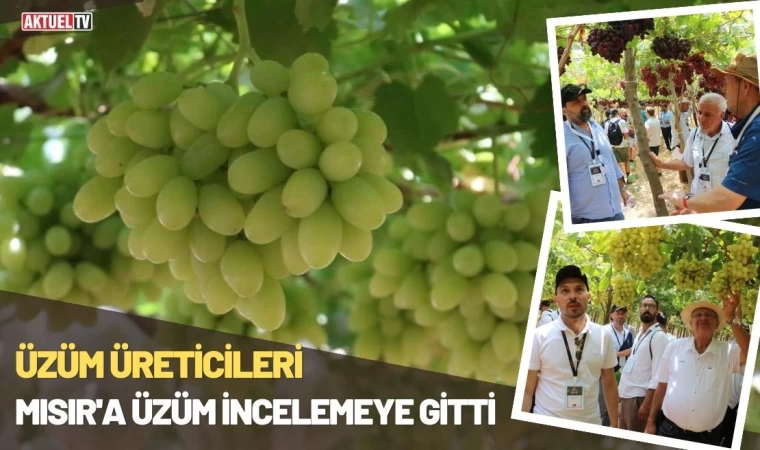 Üzüm Üreticileri Mısır’a Üzüm İncelemeye Gitti