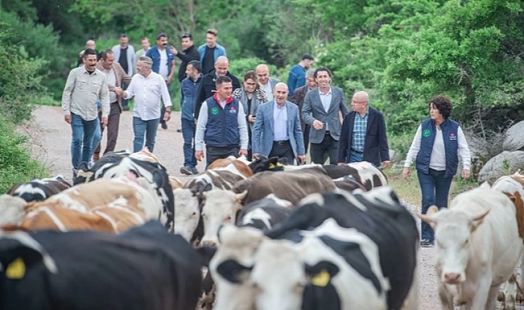 Yayla yolculuğu başladı