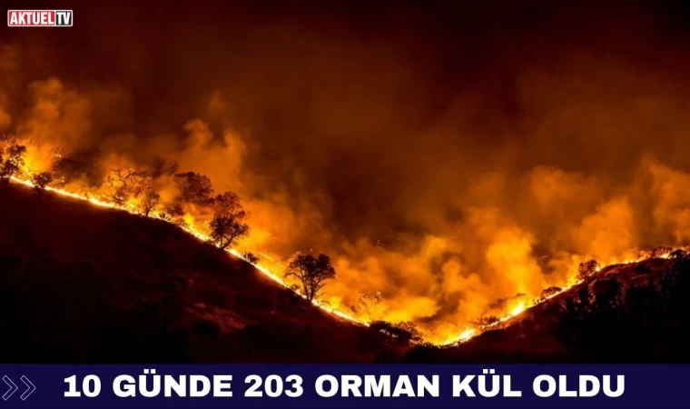 10 Günde 203 Orman Kül Oldu !