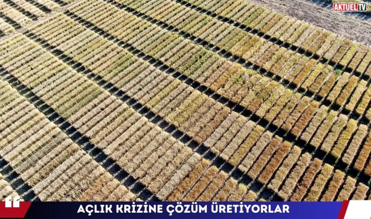 Açlık Krizine Çözüm Üretiyorlar