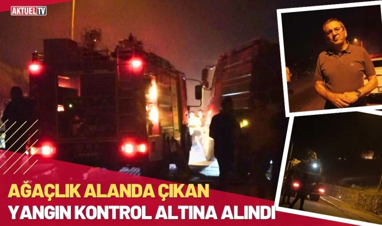 Ayvalık'ta Ağaçlık Alanda Çıkan Yangın Kontrol Altına Alındı