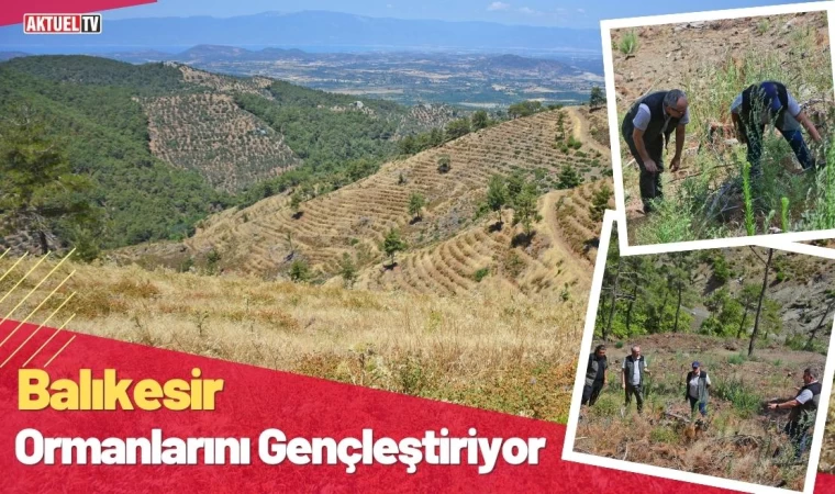 Balıkesir Ormanlarını Gençleştiriyor