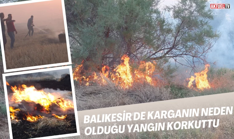 Balıkesir'de Karganın Neden Olduğu Anız Yangını Korkuttu