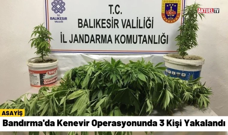 Bandırma'da Kenevir Operasyonunda 3 Kişi Yakalandı