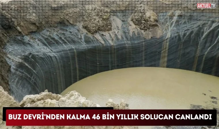 Buz Devri'nden Kalma 46 Bin Yıllık Solucan Canlandı