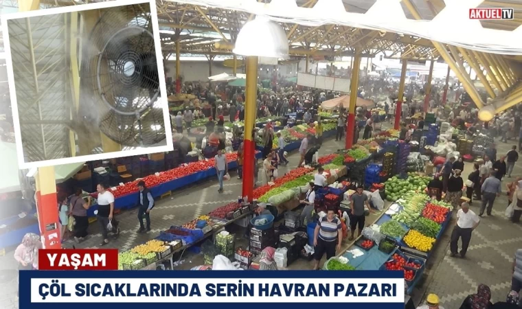 Çöl Sıcaklarında Serin Havran Pazarı