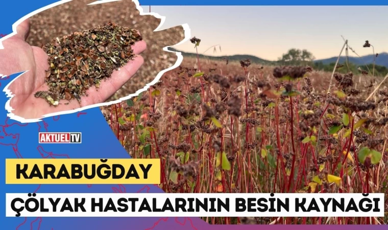 Çölyak Hastalarının Besin Kaynağı: Karabuğday