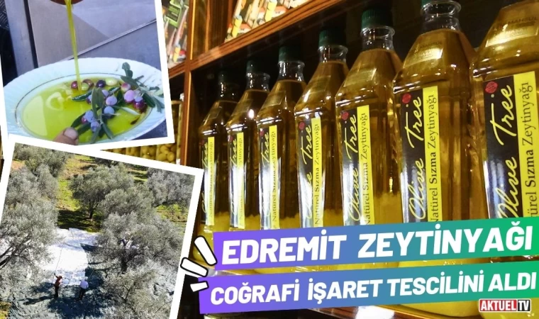 Edremit Zeytinyağı Coğrafi İşaret Tescilini Aldı