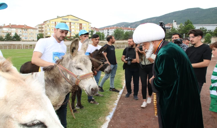 Eşekler Birincilik İçin Yarıştı