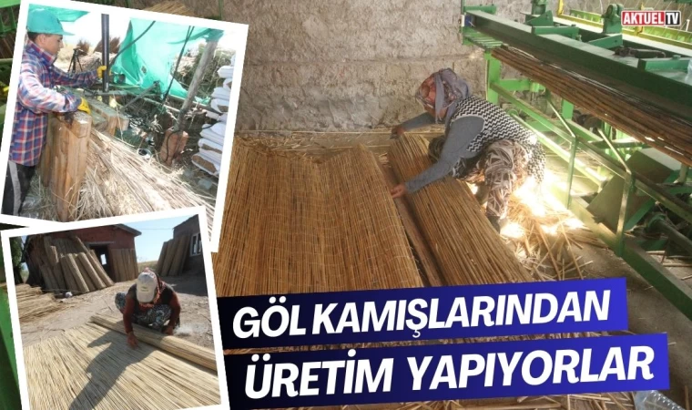 Göllerdeki Kamışlardan Üretim Yapıyorlar