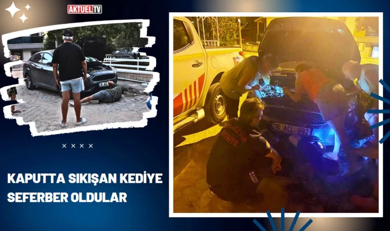 Kaputta Sıkışan Kediye Seferber Oldular