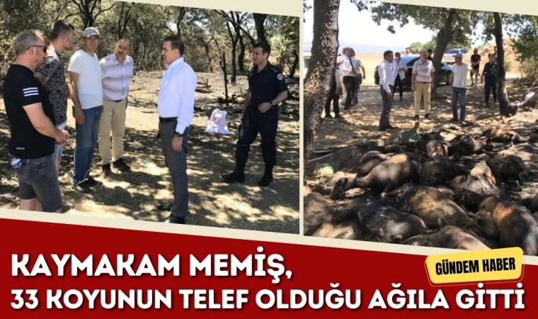 Kaymakam Memiş, 33 Koyunun Telef Olduğu Ağıla Gitti